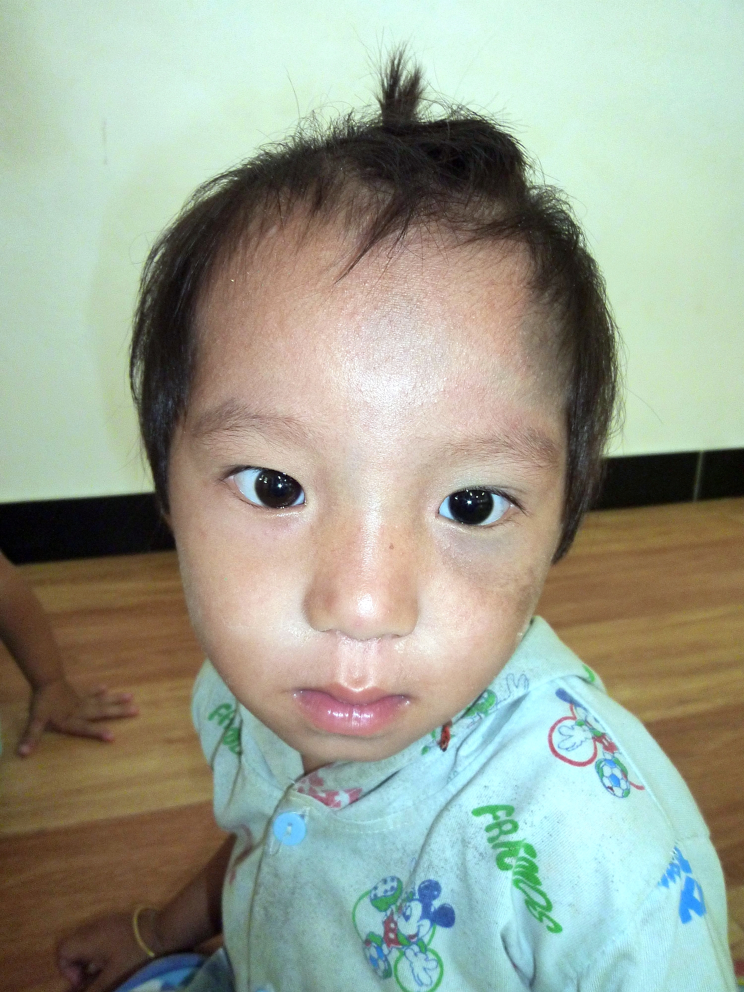 菜菜入學時相片