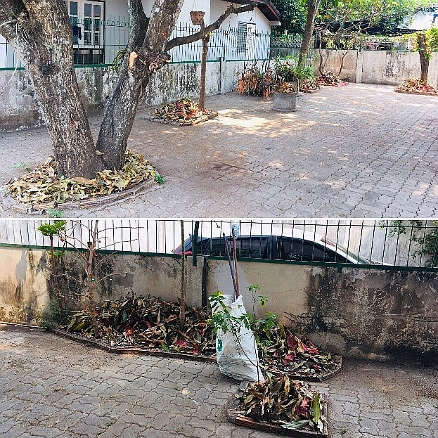 宿舍管理日常工作:清掃落葉